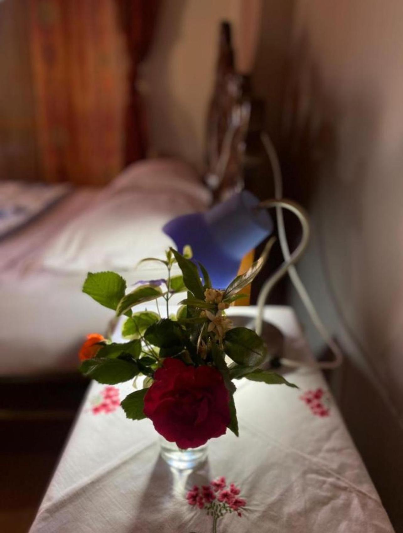 Gather Inn Guest House Shkodër エクステリア 写真